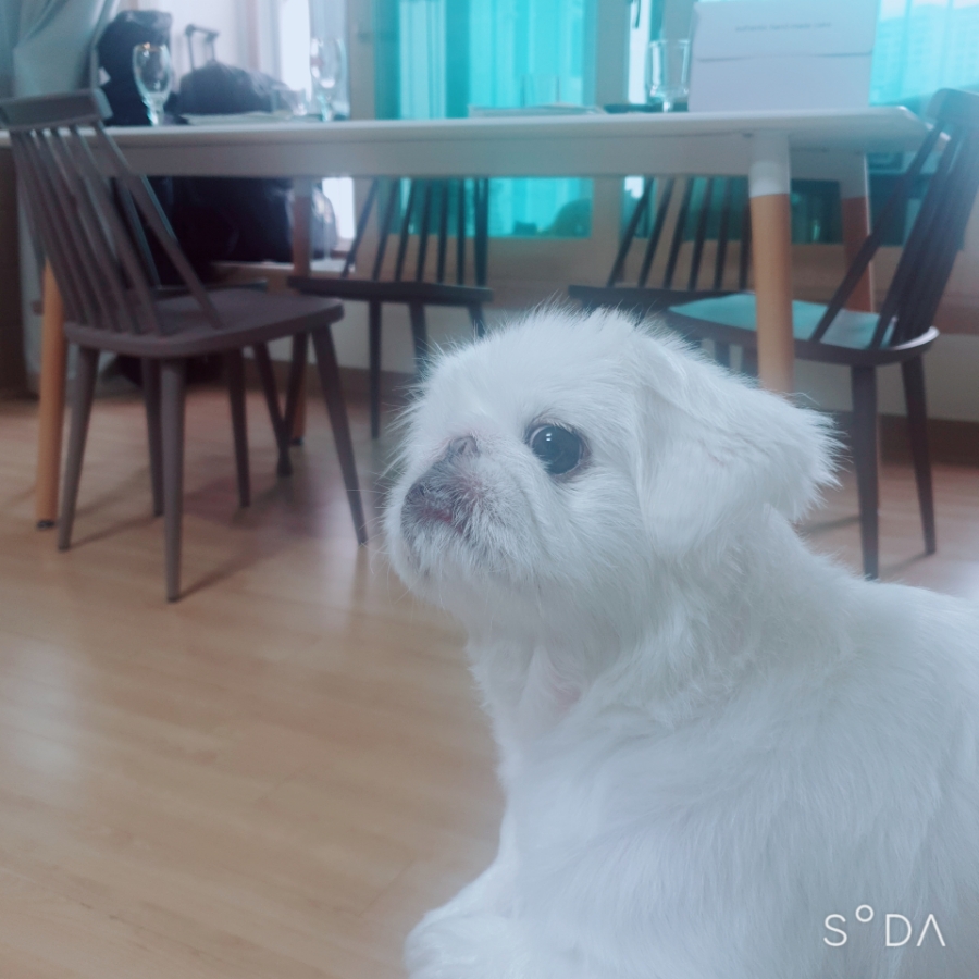 라본느(La Bonne) 이미지