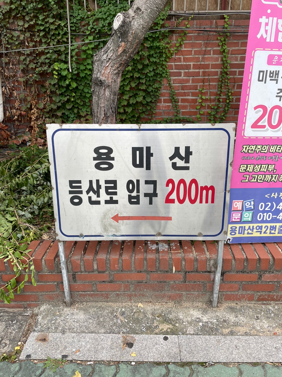 고구려미트 이미지