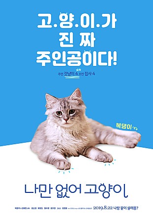 나만없어고양이 이미지