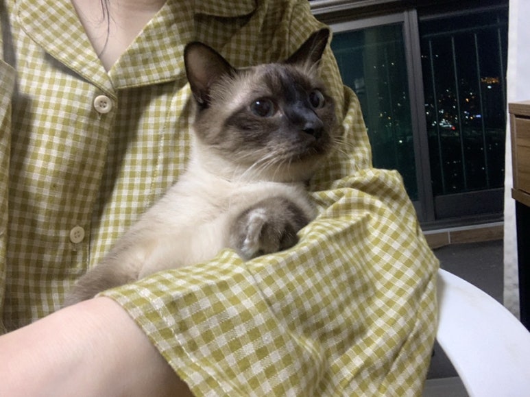 인코스 이미지