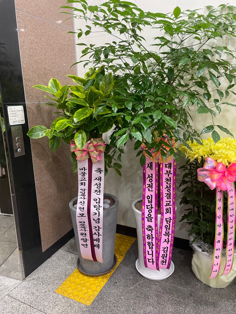 대부천성 이미지