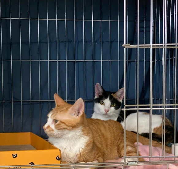 연지로27 이미지