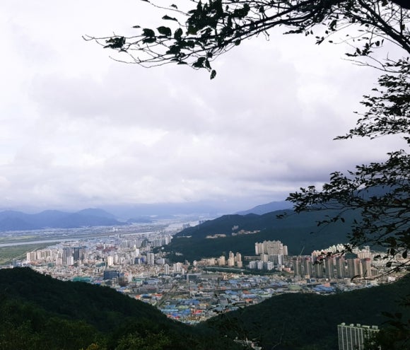 낙동강어탕국수 이미지