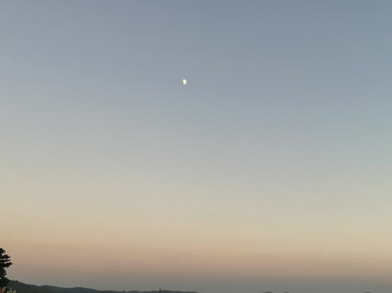 솔비치캠핑장 이미지