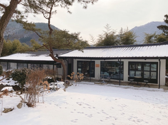 플러스82프로젝트 이미지