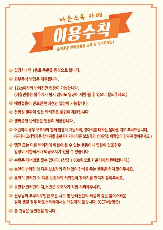 바운스독카페 이미지