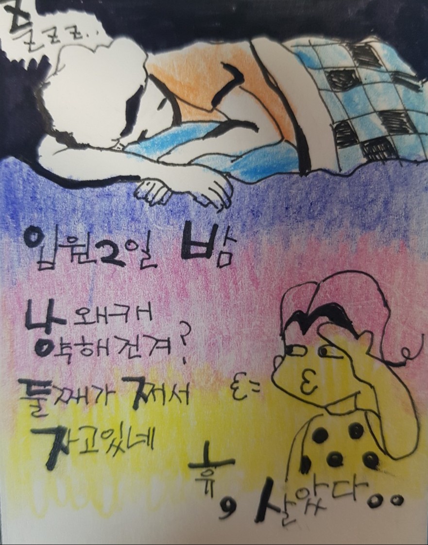 피노미나 이미지
