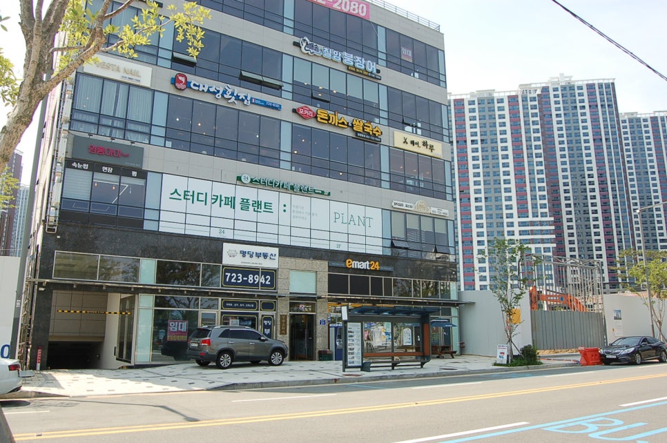 해송칠암붕장어 이미지