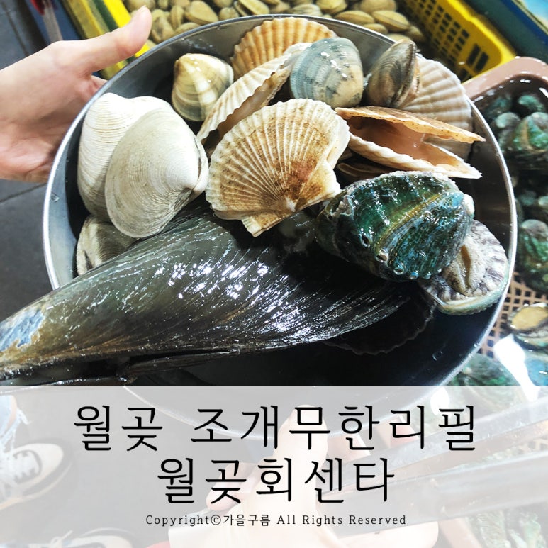월곶회센타 이미지