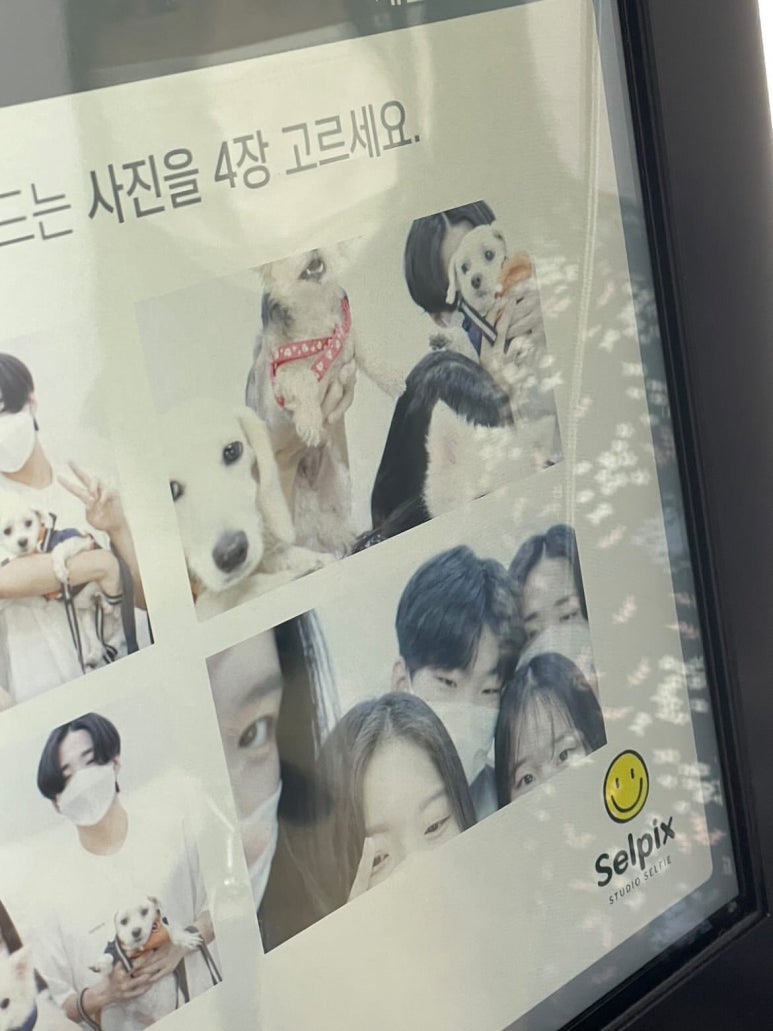 셀픽스 이미지