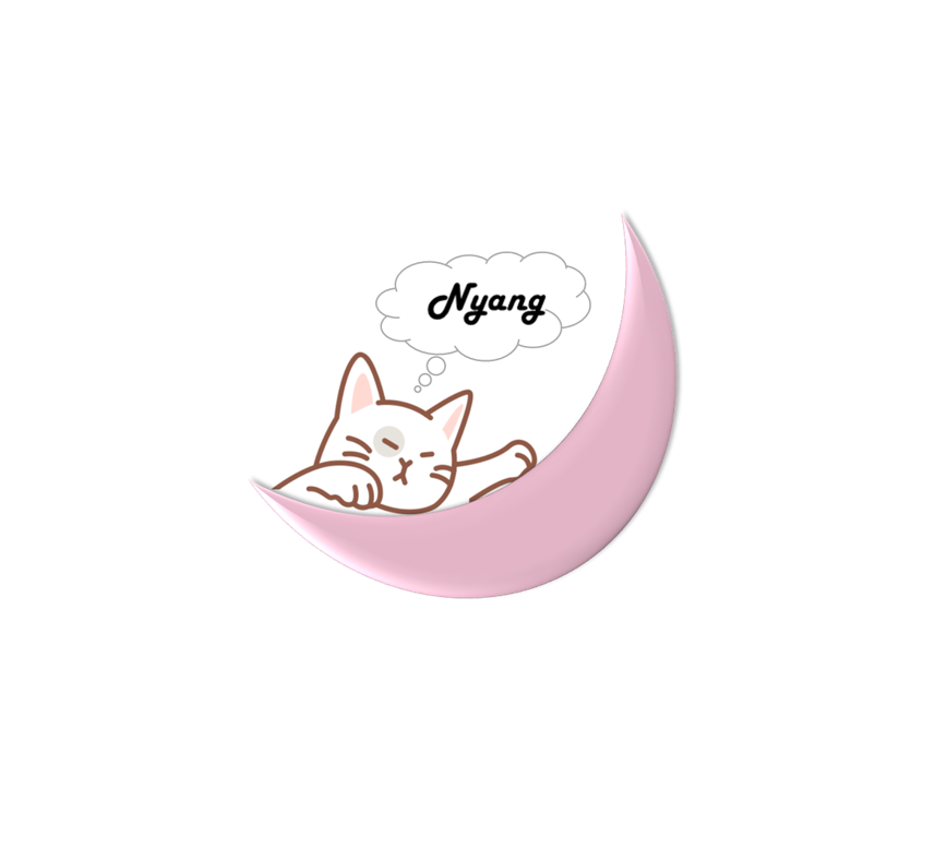 캠핑 494 이미지