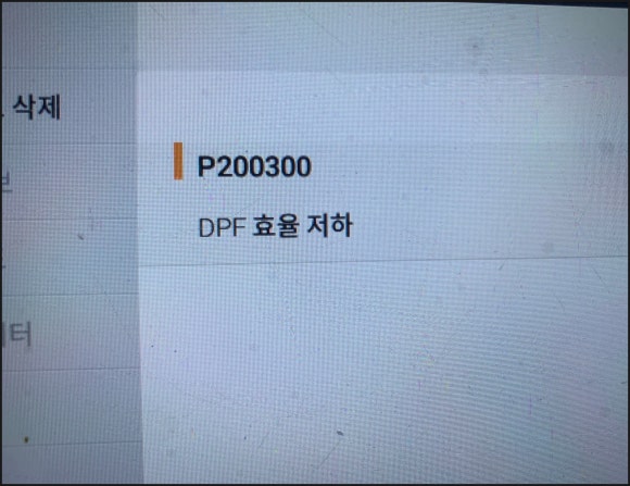 포니카센타 이미지
