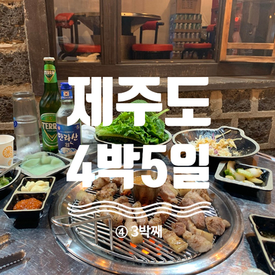 함덕88동 이미지
