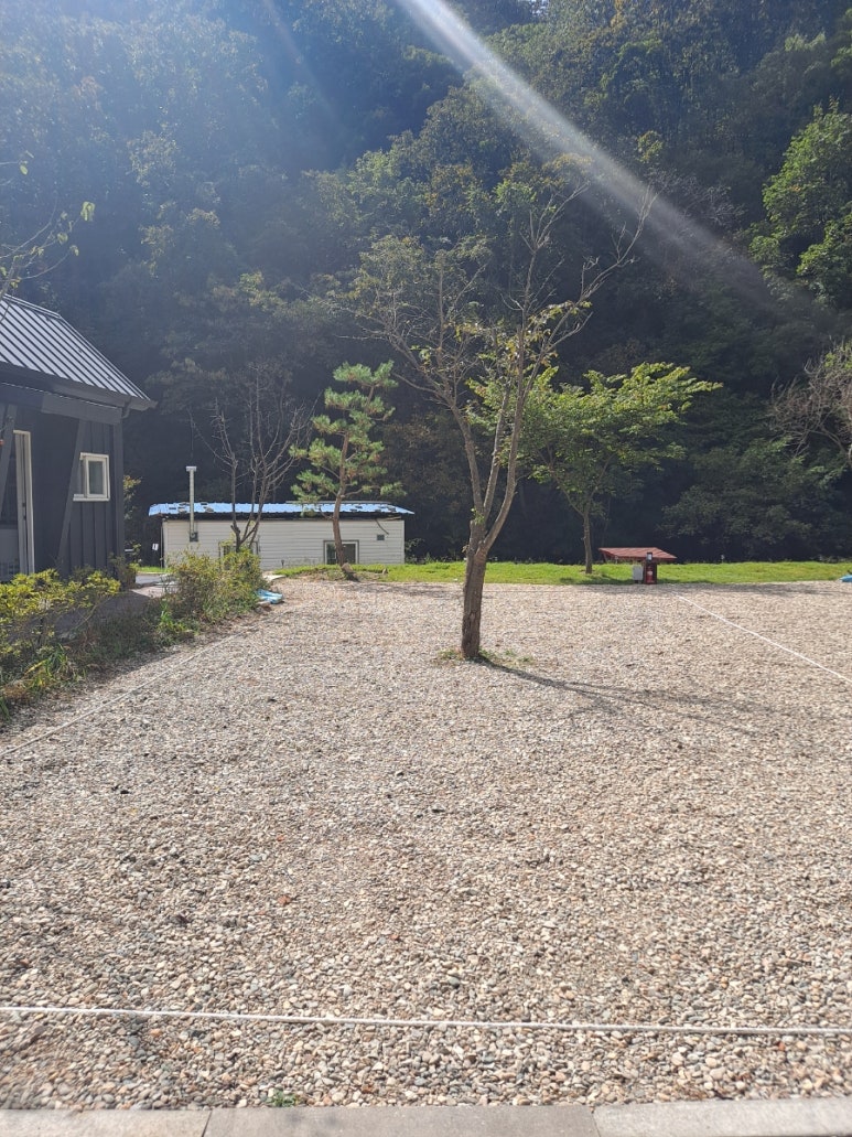 홍천반딧불캠핑장 이미지