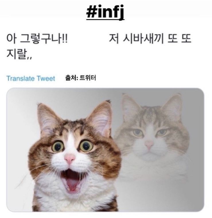 공감 이미지
