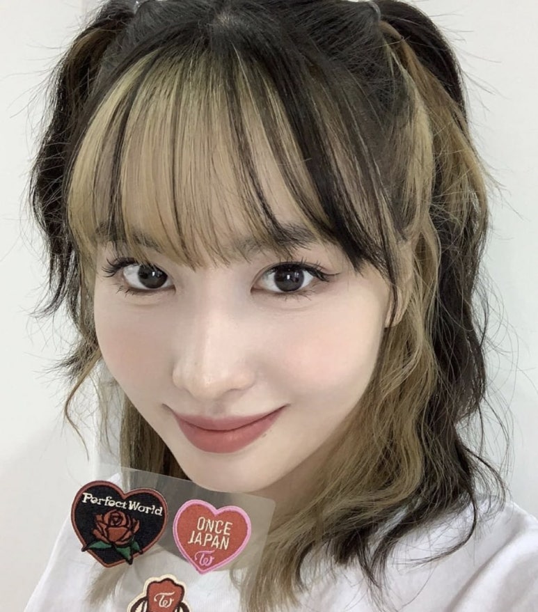 모모브릿지 이미지
