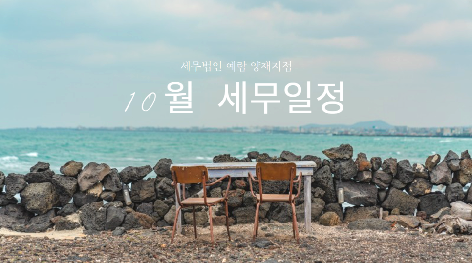 세무법인예람 이미지