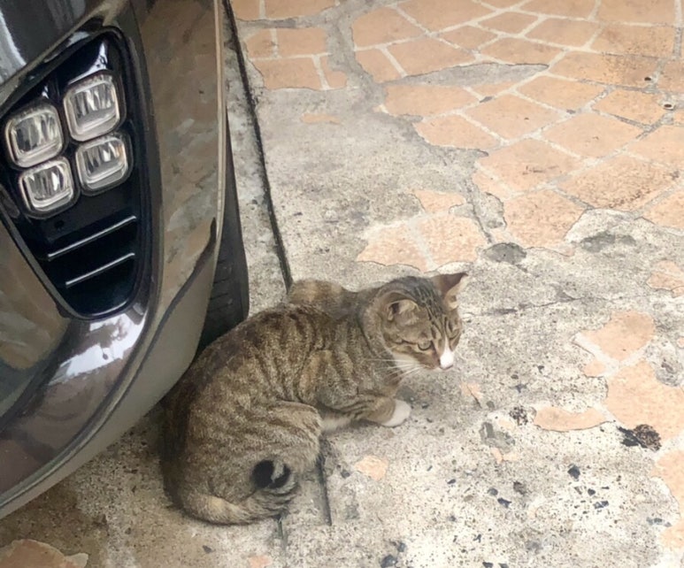 부엉이식당 본점 이미지