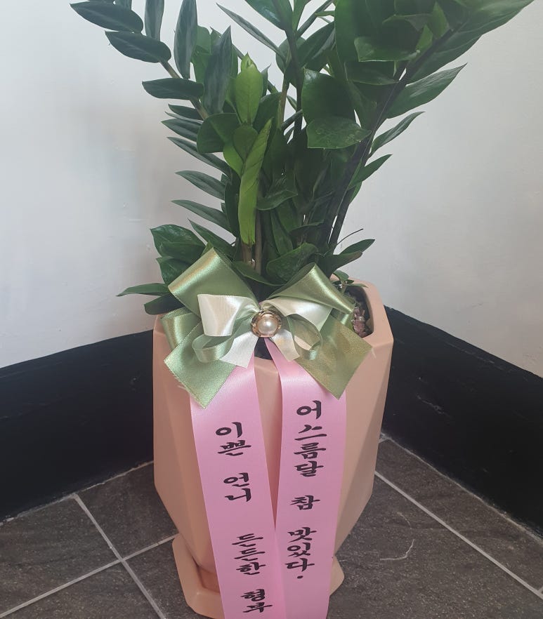 어스름달 이미지