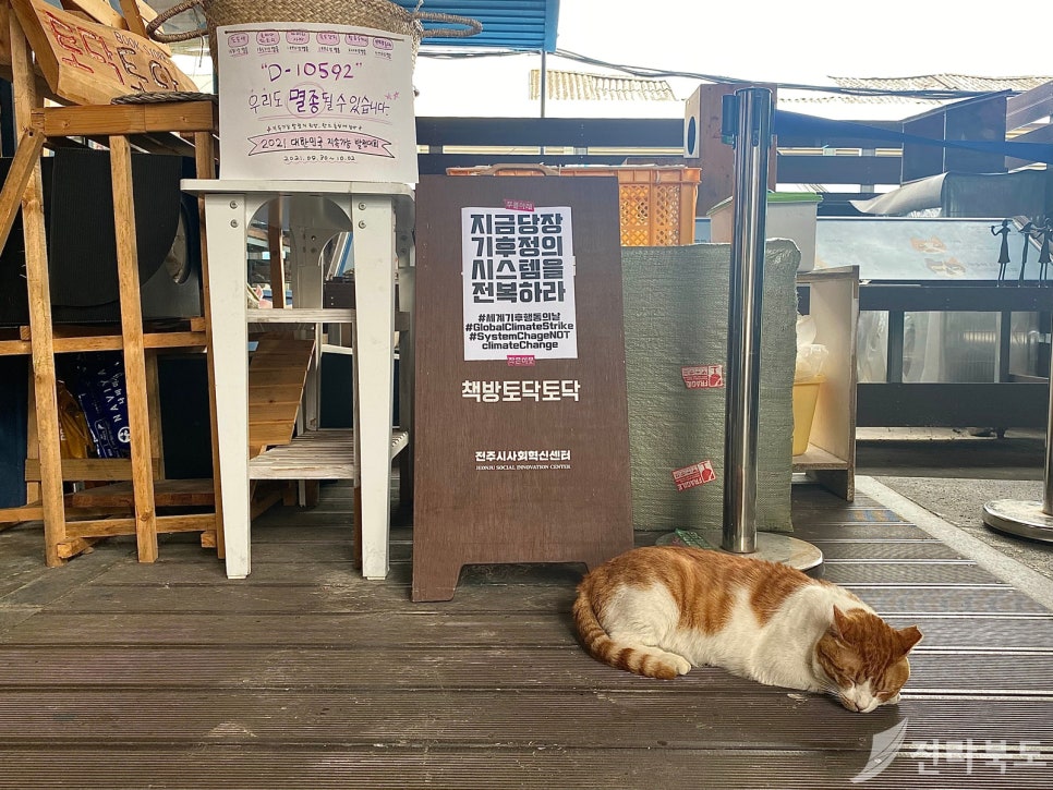 책방토닥토닥 이미지