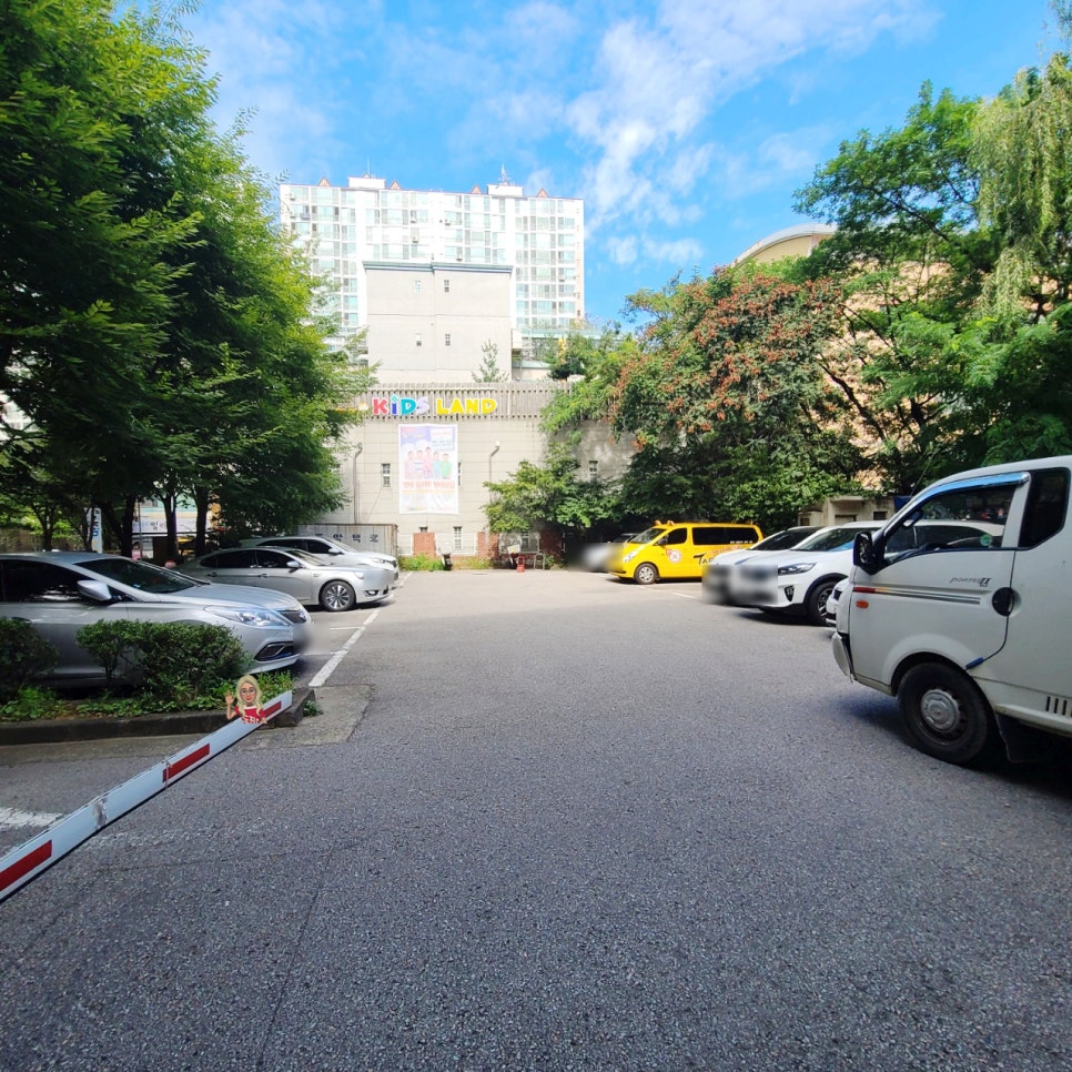 도도브로우 이미지