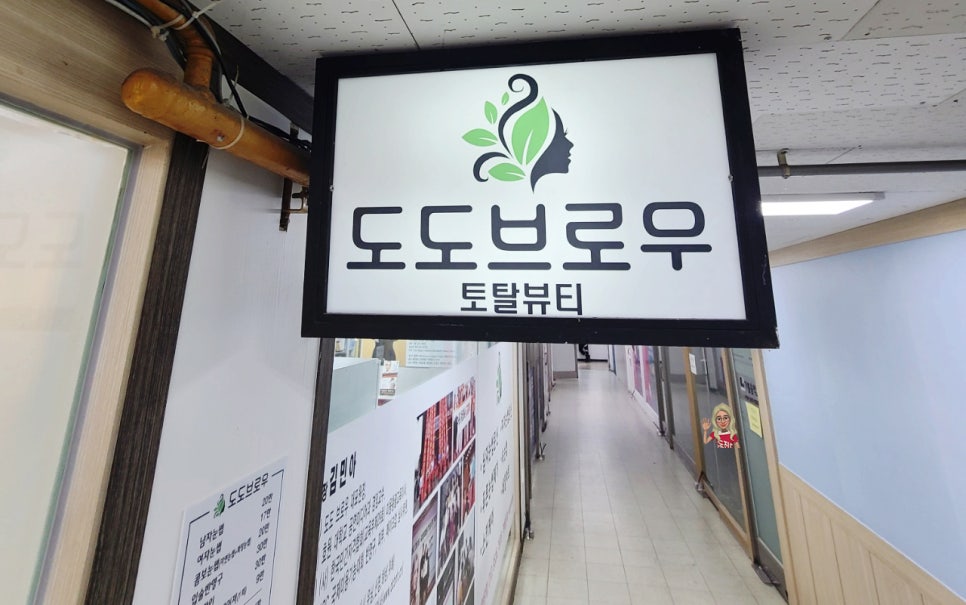 도도브로우 이미지