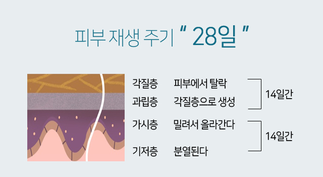 드림피부과 이미지