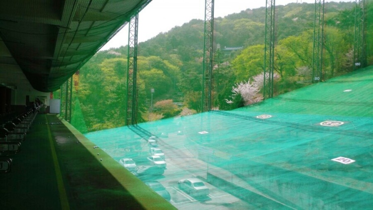 파라다이스매점 이미지