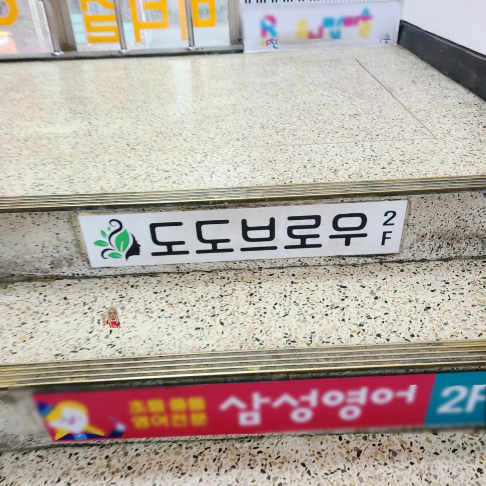 도도브로우 이미지