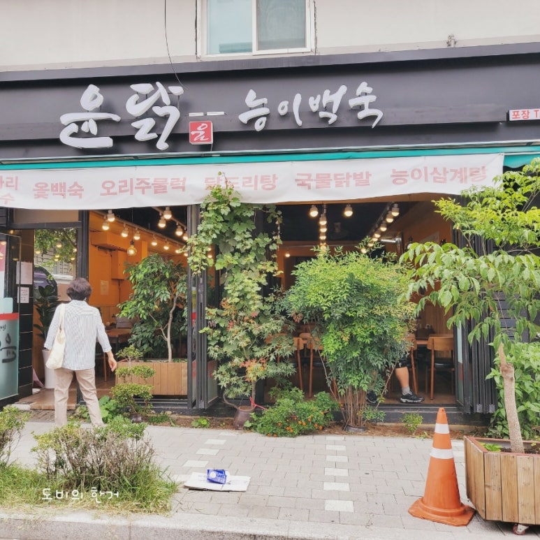 윤닭능이백숙 이미지