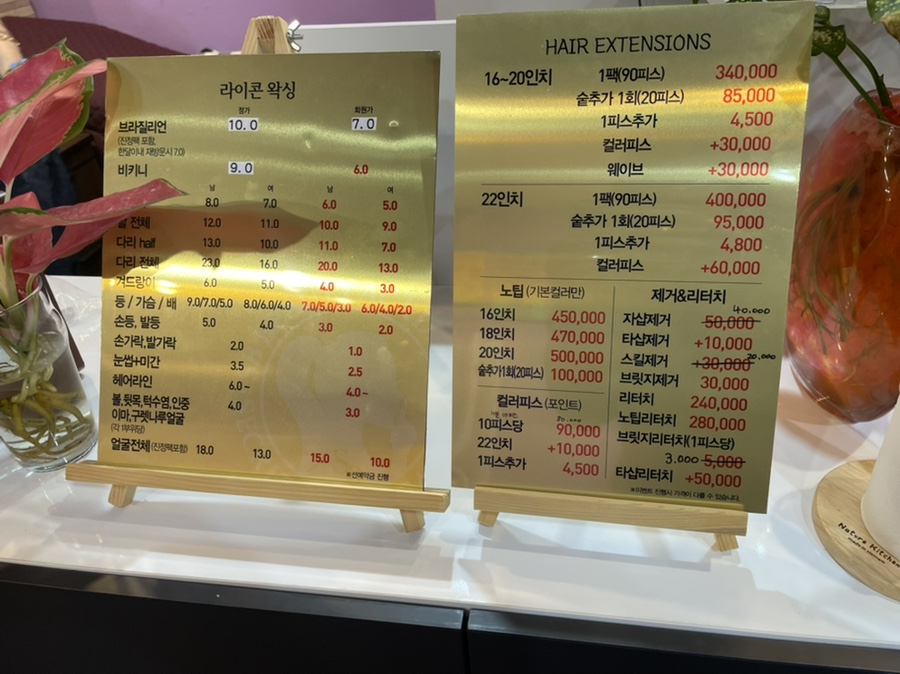 빽살롱 이미지