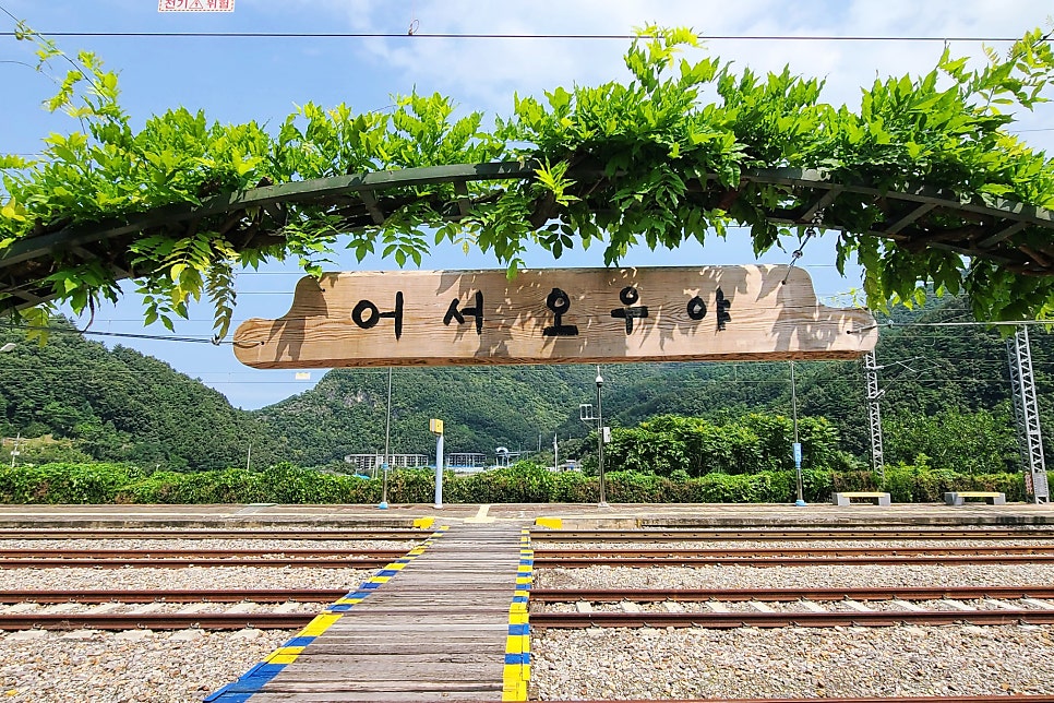 오우야 이미지