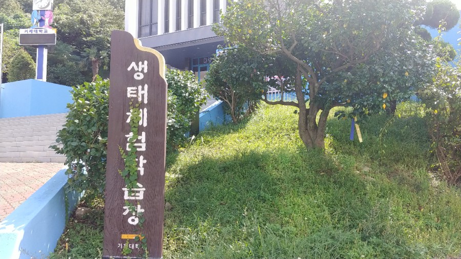 솔내음체험학습장 이미지