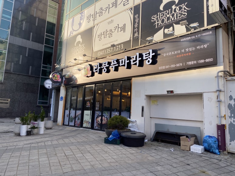 라쿵푸 이미지