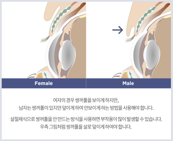 서연성형외과의원 이미지
