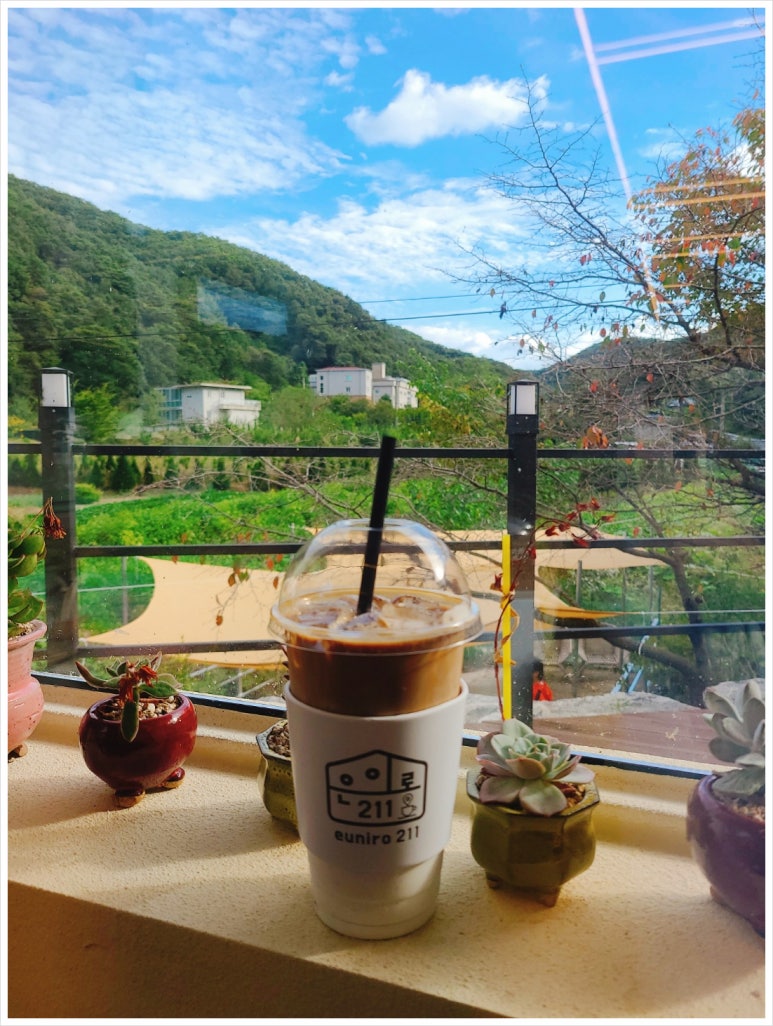 은이로211 이미지