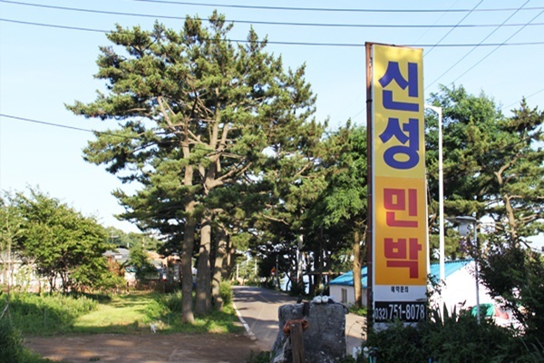 신성민박 이미지