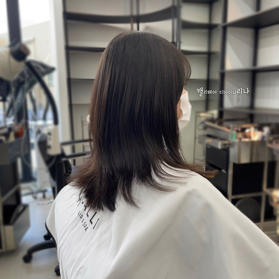 캘리헤어 이미지