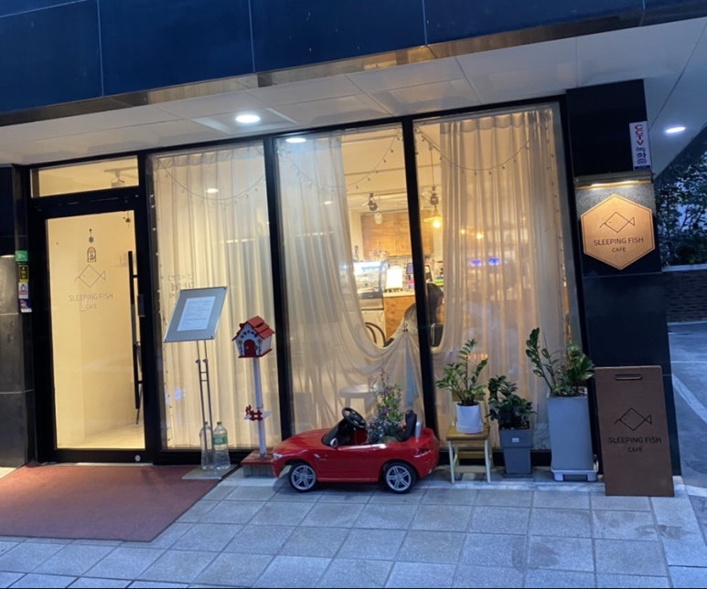 슬리핑피쉬샤로수 이미지