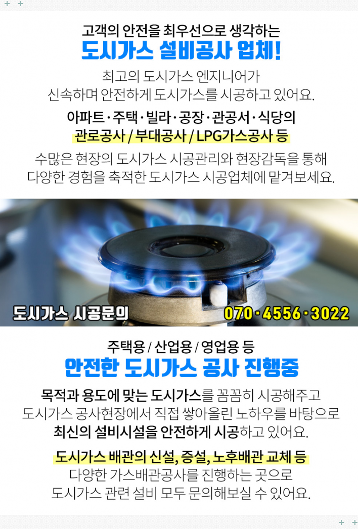 별비다육 이미지