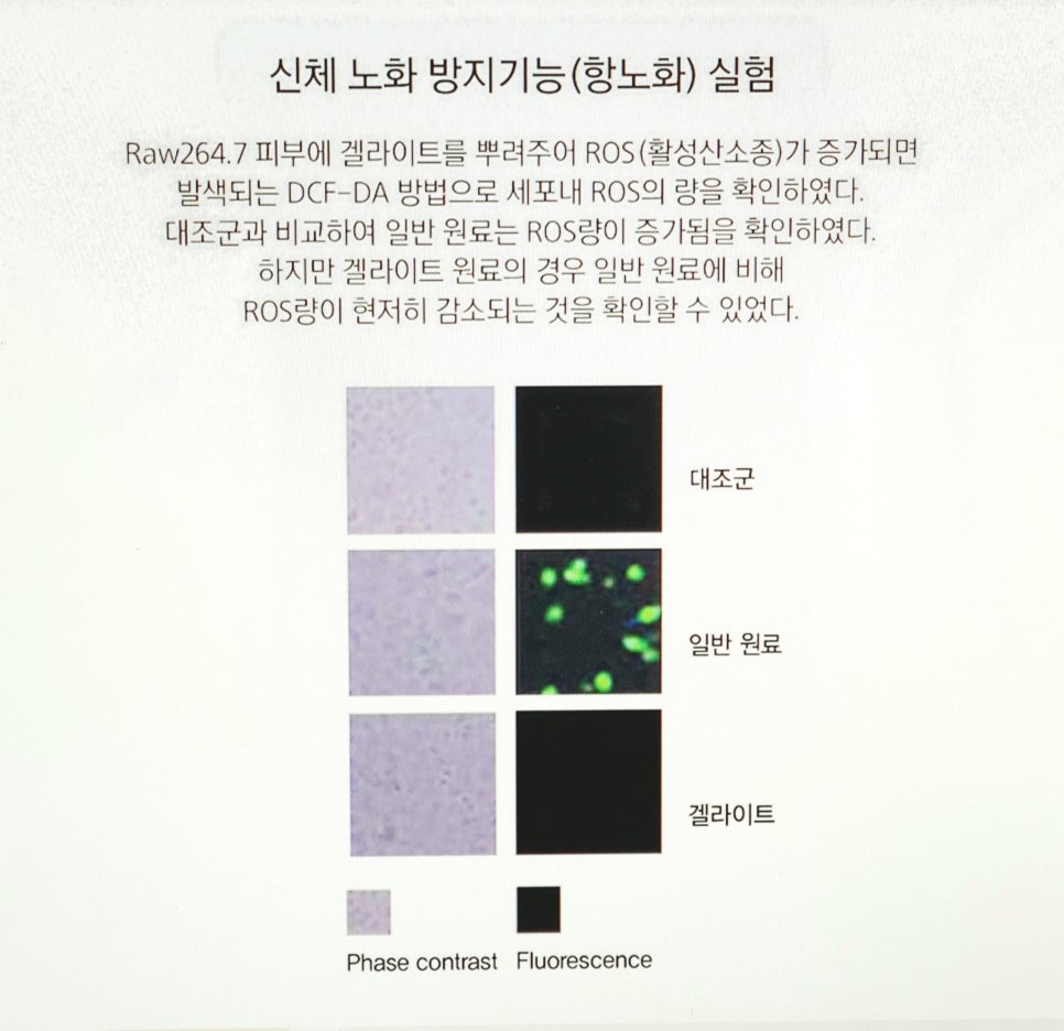 싱싱야채과일 이미지