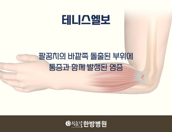 왕조걸한방병원 이미지