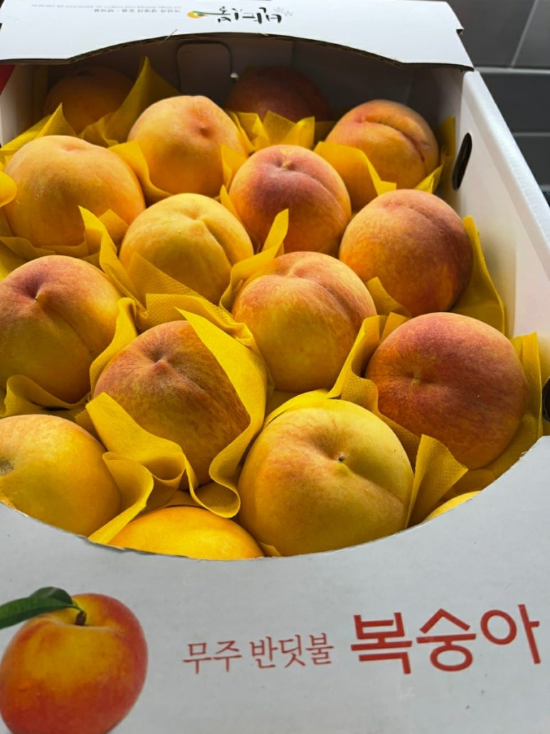 과일부심 이미지