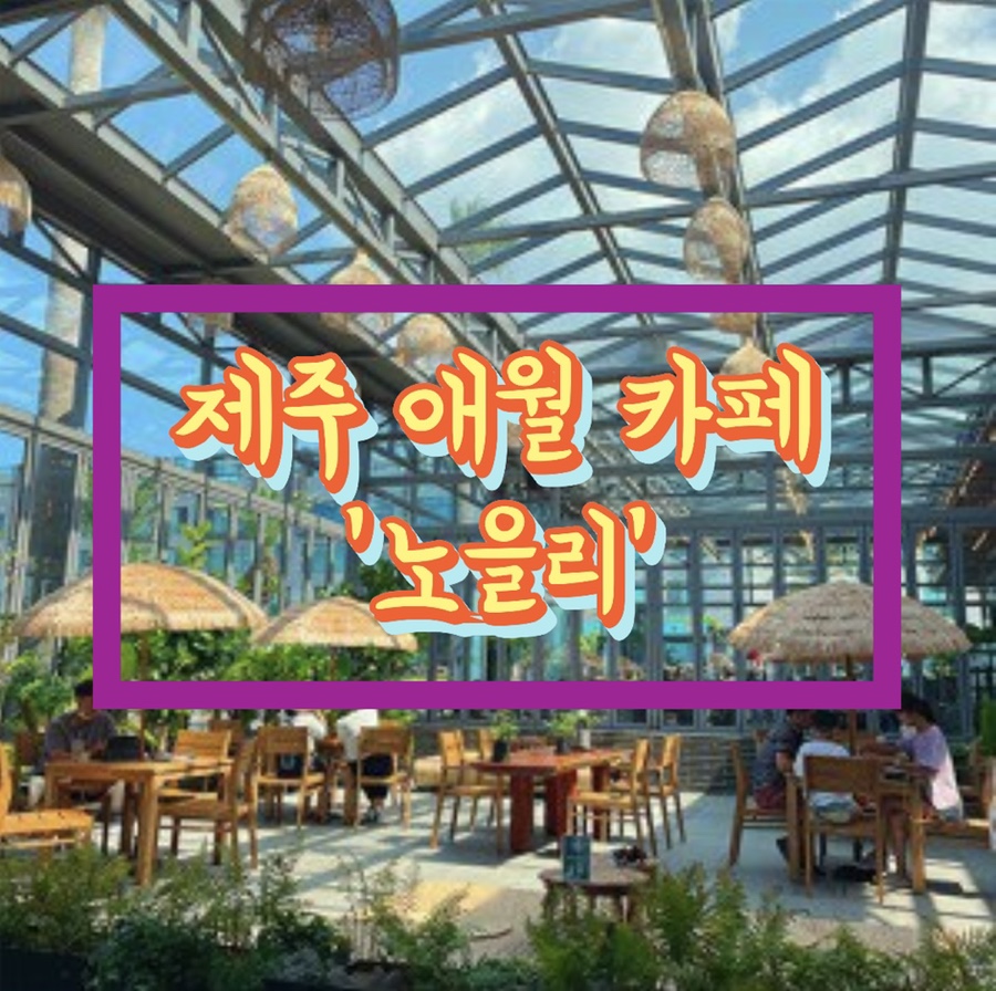 코스앨리 이미지