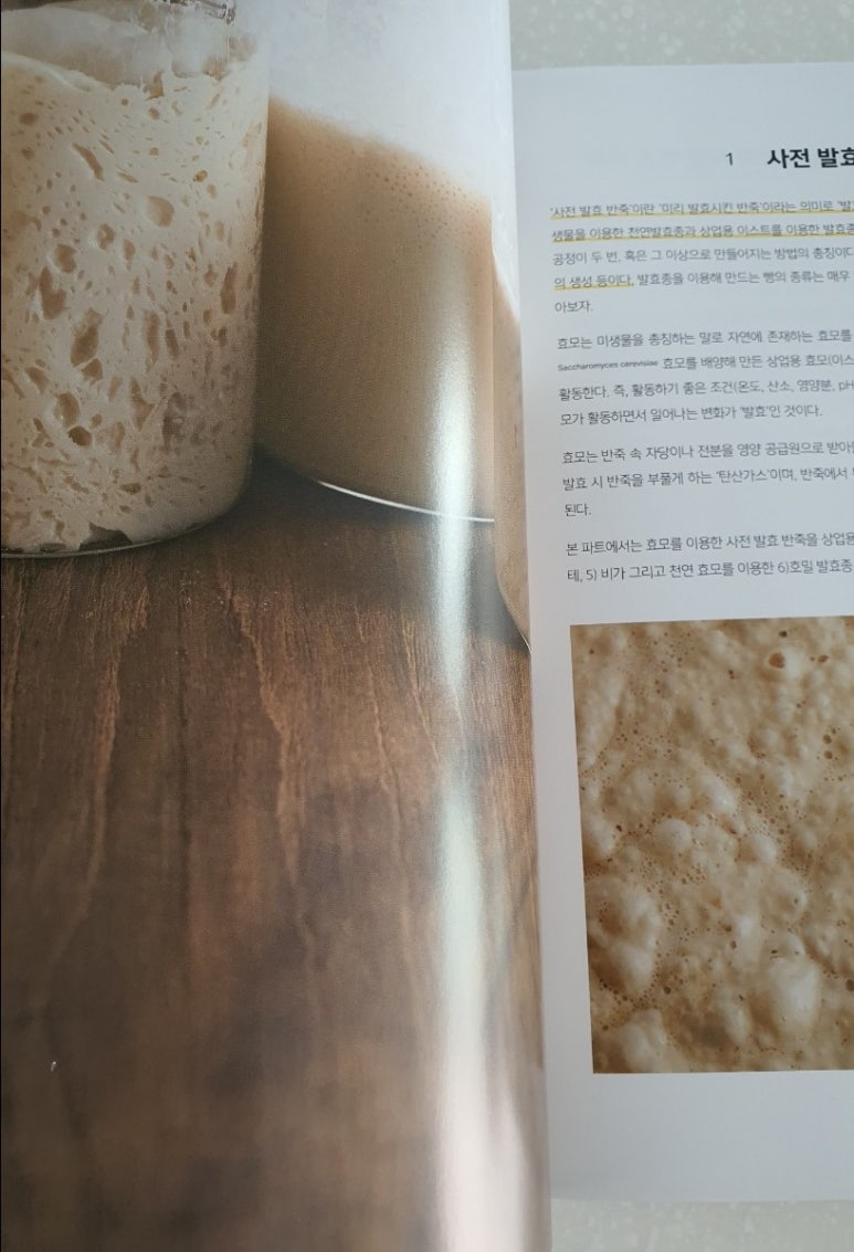 브래드윤 이미지