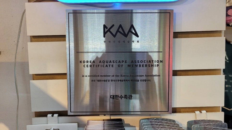 수경헤어라인 이미지