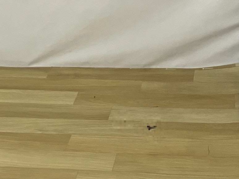 대성글램핑 이미지