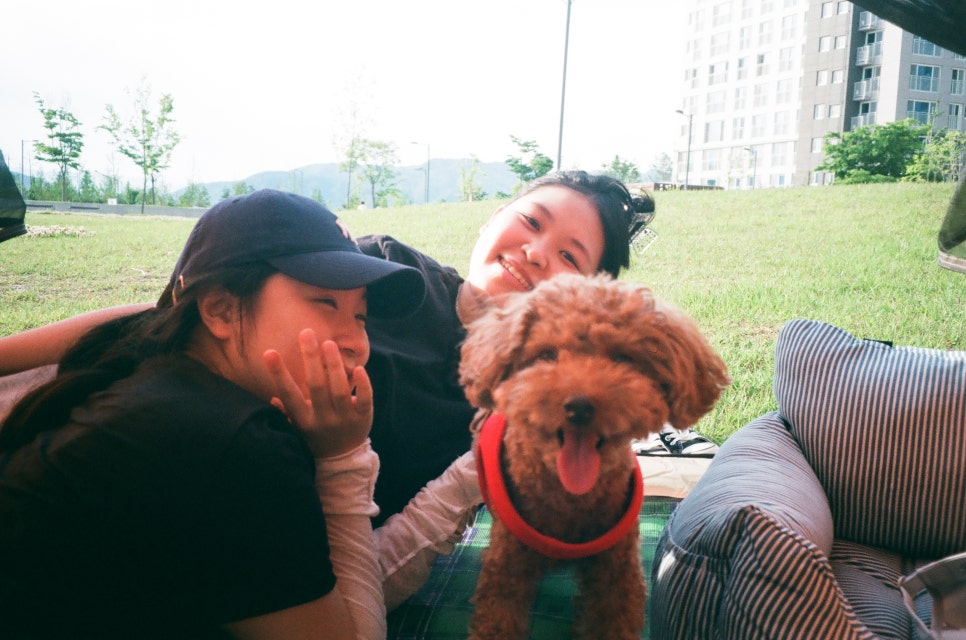 오토칼라 이미지