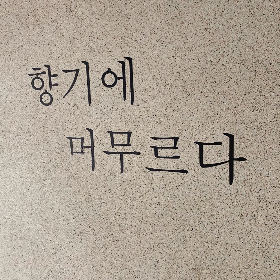 유일향 이미지