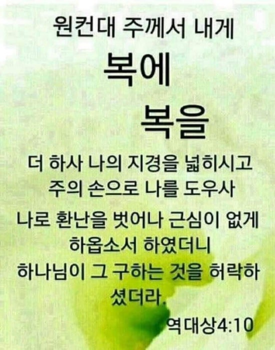 미쵸미쵸 이미지